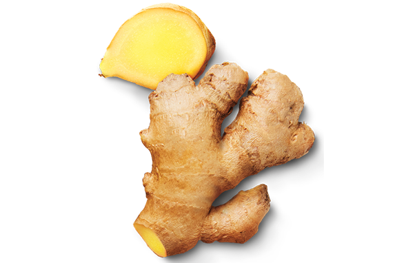 Ginger root, tan with yellow sprout, isolated.